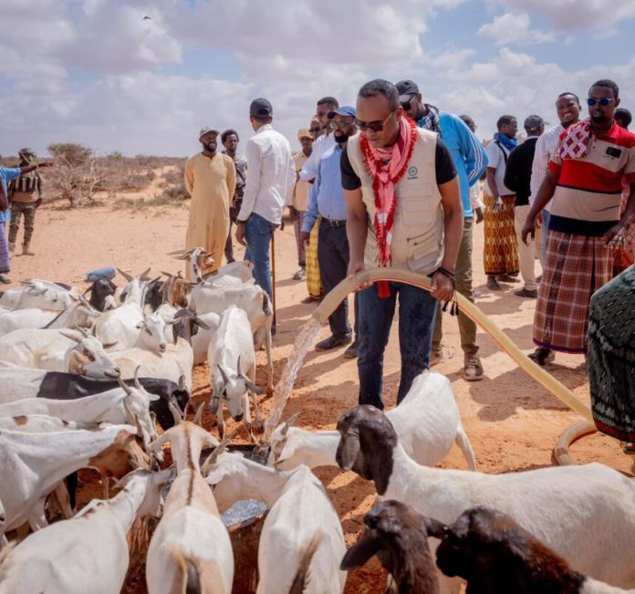 FB_IMG_1772477592773-860x804