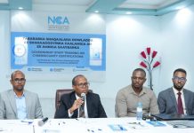 Hay’adda Isgaarsiinta Qaranka oo Bilowday Barnaamij Tababar oo ku Saabsan Amniga Saaybarka