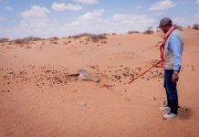 Muxuu Guddoomiyaha SoDMA ku soo arkay Cadaado?