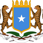 Wasaaradda Arrimaha Gudaha DFS oo Maamul Cusub u magacowday Degmada Diinsoor ee Gobolka Baay