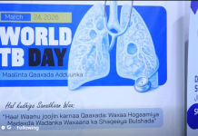 “Haa waan joojin karnaa” oo hal ku dhig looga dhigay xuska sanadkaan ee Maalinta Qaaxada Dunida