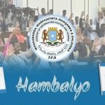 Wasaaradda Warfaafinta XFS oo soo dhoweysay ansixinta dastuurka