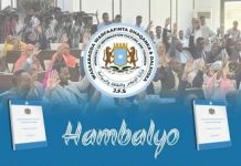 Wasaaradda Warfaafinta XFS oo soo dhoweysay ansixinta dastuurka