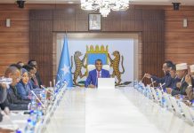 Golaha wasiirada oo ansixiyey agaasimaha cusub ee hay’adda socdaalka