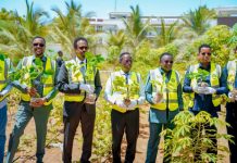 Ololaha todobaadka dhir beerista oo ka billaawday Muqdisho