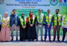 Maamulka Gobolka Banaadir oo soo gaba-gabeeyay Toddobaadka Qaran ee Dhir-beerista