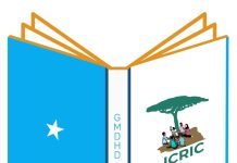 WARSAXAAFADEED: Guddiga Madaxa Bannaan ee Dib-u-eegista Dastuurka Dalka (GMDHD)