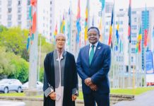 Wasiirka deegaanka oo shir muhiim ah uga qaybgalay Ethiopia