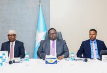 Ra’iisul Wasaare Ku-Xigeenka XFS oo Shir Guddoomiyay Madasha Isku Xirka Howlaha Ka Hortagga Fikirka Xagjirka ah