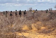 Hawlgal ka dhacay Hiiraan oo lagu dilay maleeshiyaad Khawaarij ah