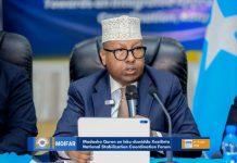 Wasiir Fiqi oo ka hadlay guulaha laga gaaray sugidda amniga & xoojinta Xasillinta dalka