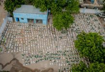 Hayadda SoDMA oo Gargaar Raashin ah u qaybisay 2,000 oo Qoys oo ku sugan Magaalada Baardheere