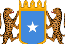 WARGELIN: DIIWAAN-GELINTA XOG-DHOWRAYAASHA IYO XOG-ADEEGSADAYAASHA
