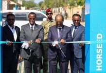 Madaxweyne Xasan Sheekh oo xarigga ka jaray mashaariic laga hirgaliyey Hirshabeelle, kuwa kalena dhagax dhigay
