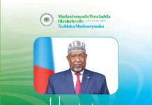 Madaxweyne Cali guudlaawe oo u hambalyeeyay Hoggaamiyaha cusub ee koofur Galbeed Soomaaliya