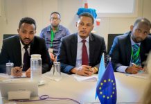 Wasiirka Wasaaradda Warfaafinta oo kulan la yeeshay Danjiraha Midowga Yurub u jooga Soomaaliya