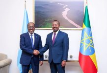Madaxweynaha JFS oo kulan miro-dhal ah la yeeshay Ra’iisul wasaaraha Itoobiya