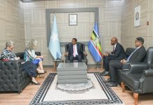 Wasiirka Arrimaha Dibadda oo Qaabilay Safiirka Midowga Yurub u fadhiya Dalka Soomaaliya