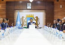 Golaha Wasiiradda JFS oo magacaabay Guddoomiyaha KMG ah ee Rugta Ganacsiga Soomaaliyeed
