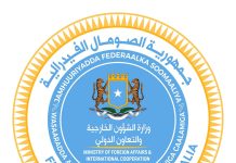 Wasaaradda Arrimaha Dibadda oo ka Tacsiyeeyay dhibaatadii ka dhacday Dalka Aljeeriya