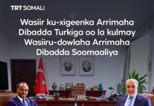 Wasiiru-Dowlaha Wasaaradda Arrimaha Dibadda XFS oo kulan la yeeshay Wasiir ku-xigeenka Wasaaradda Arrimaha Dibadda ee Dowladda Turkiga