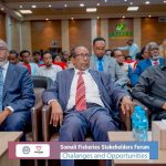 Warbixinta Madasha Daneeyayaasha Kalluumeysiga Soomaaliya