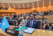 Wasiirka Arrimaha Dibadda oo ka qeybgalay Kalfadhiga 49-aad ee Golaha Fulinta Midowga Afrika.