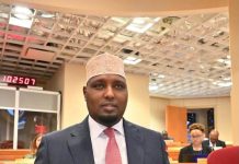 Soomaaliya oo aragtideeda horumarineed ku soo bandhigtay Maalinta Afrika