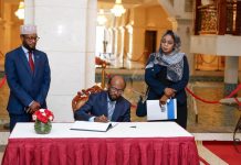 Safiirka Soomaaliya ee dalka Suudaan oo laga guddoomay waraaqadaha aqoonsiga Danjirenimo