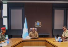Madaxweynaha JFS oo Xarunta Madaxtooyada ku qaabilay Taliyaha Ciidanka Qalabka Sida ee Dowladda Jabuuti