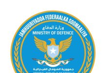 Horjoogayaal ka tirsan Khawaarijta oo lagu dilay Gobolka Shabeellaha Dhexe