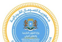 Soomaaliya oo ka tacsiyeysay dhul gariir ka dhcay dalka Indonesia