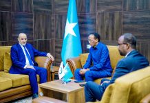Wasiir Ku-xigeenka Arrimaha Dibadda oo Kulan Sagootin ah la Qaatay Agaasimaha Guud ee OIC ee Soomaaliya