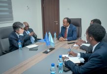 Wasiiru-dowlaha Arrimaha Dibadda oo qaabilay Wefdi ka socday UNTMIS