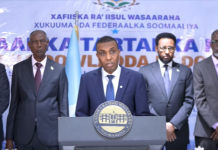 R/Wasaare Xamse oo ku baaqay in la hirgeliyo hannaanka shaqaalaysiinta iyo magacaabista ku salaysan kartida iyo mudnaanta