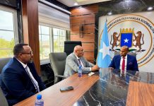 Agaasimaha Guud ee Hay’adda Maalgashiga oo qaabilay Wafdi ka socda shirkadda Zain-al-Abdin Group Africa