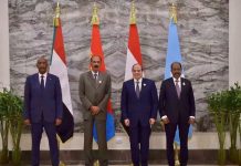 Shir-madaxeedka Wadatashiga Afargeesoodka ah ee Masar, Suudaan, Eritrea iyo Soomaaliya