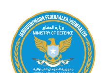 Ciidanka Xoogga Dalka Soomaaliyeed oo deegaanka Jameeca jab xooggan ku gaarsiiyay Khawaarijta Al-Shabaab