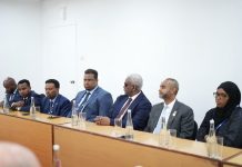 Guddoomiyaha golaha shacabka oo Tanzania kula kulmay wafdi ka socda Baarlamanka Turkiga