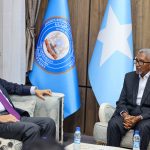 Guddoomiyaha aqalka sare oo qaabilay danjiraha cusub ee Midowga Yurub
