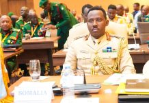Taliyaha Ciidanka Xoogga Dalka oo ka qaybgalay Shirka Taliyeyaasha Difaaca Afrika